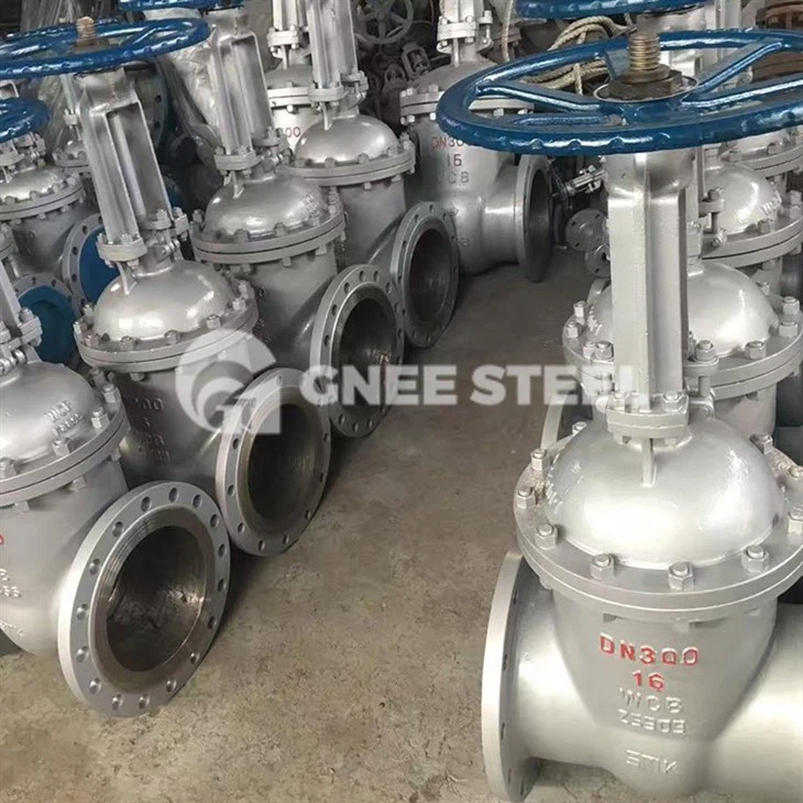 Cast Steel Valves