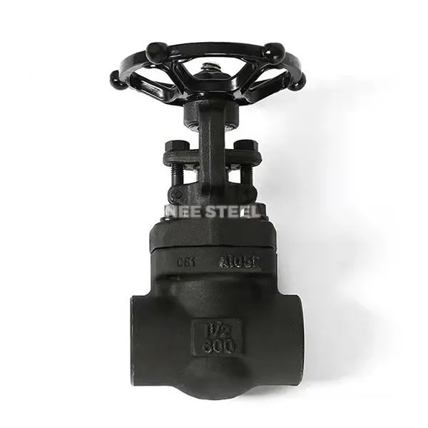 ASTM A105N Globe Valve