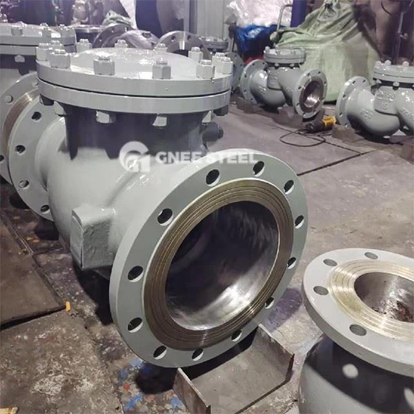Cast Steel Check Valve