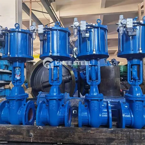 Пневматични клапани на портата